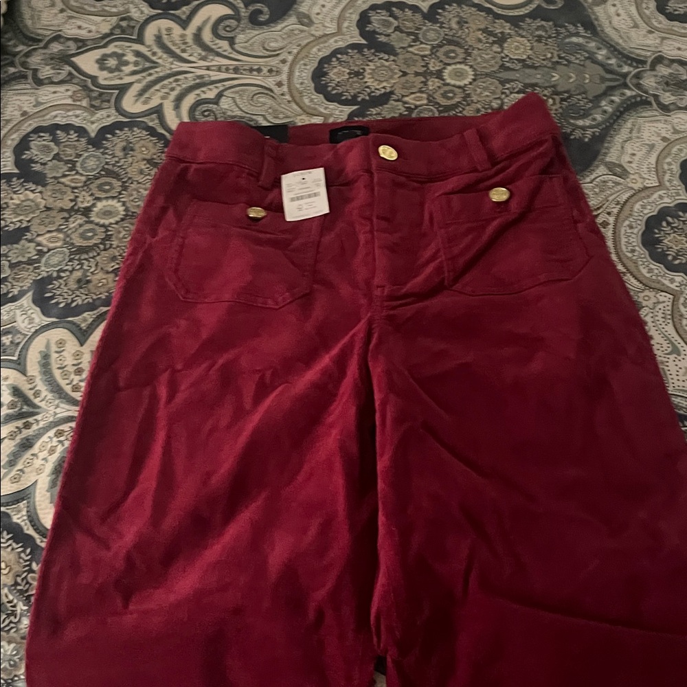Vibrant wine Corduroy Pants